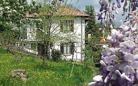 B&B Al Mutpron