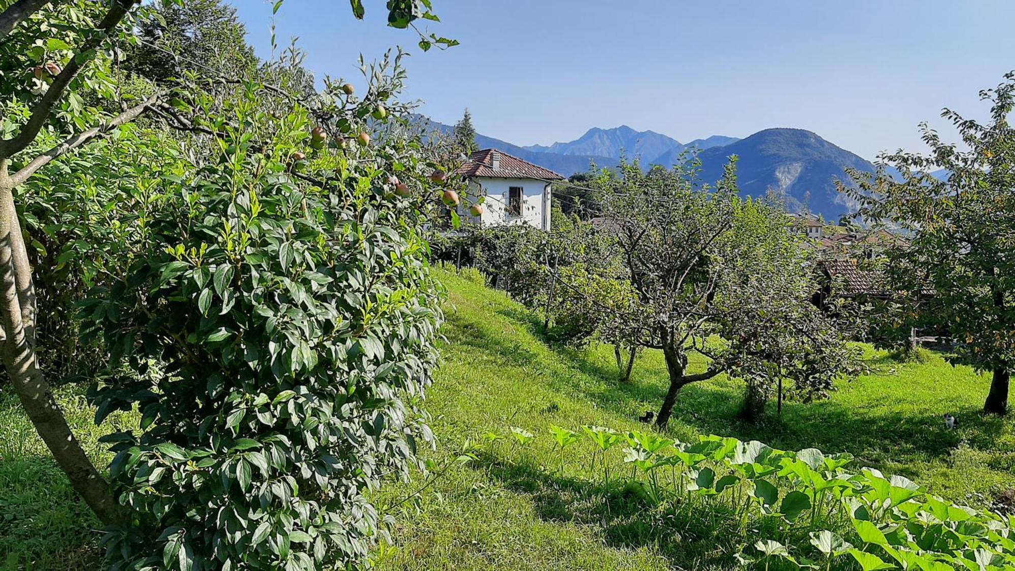 B&B Al Mutpron Casale Corte Cerro Extérieur photo