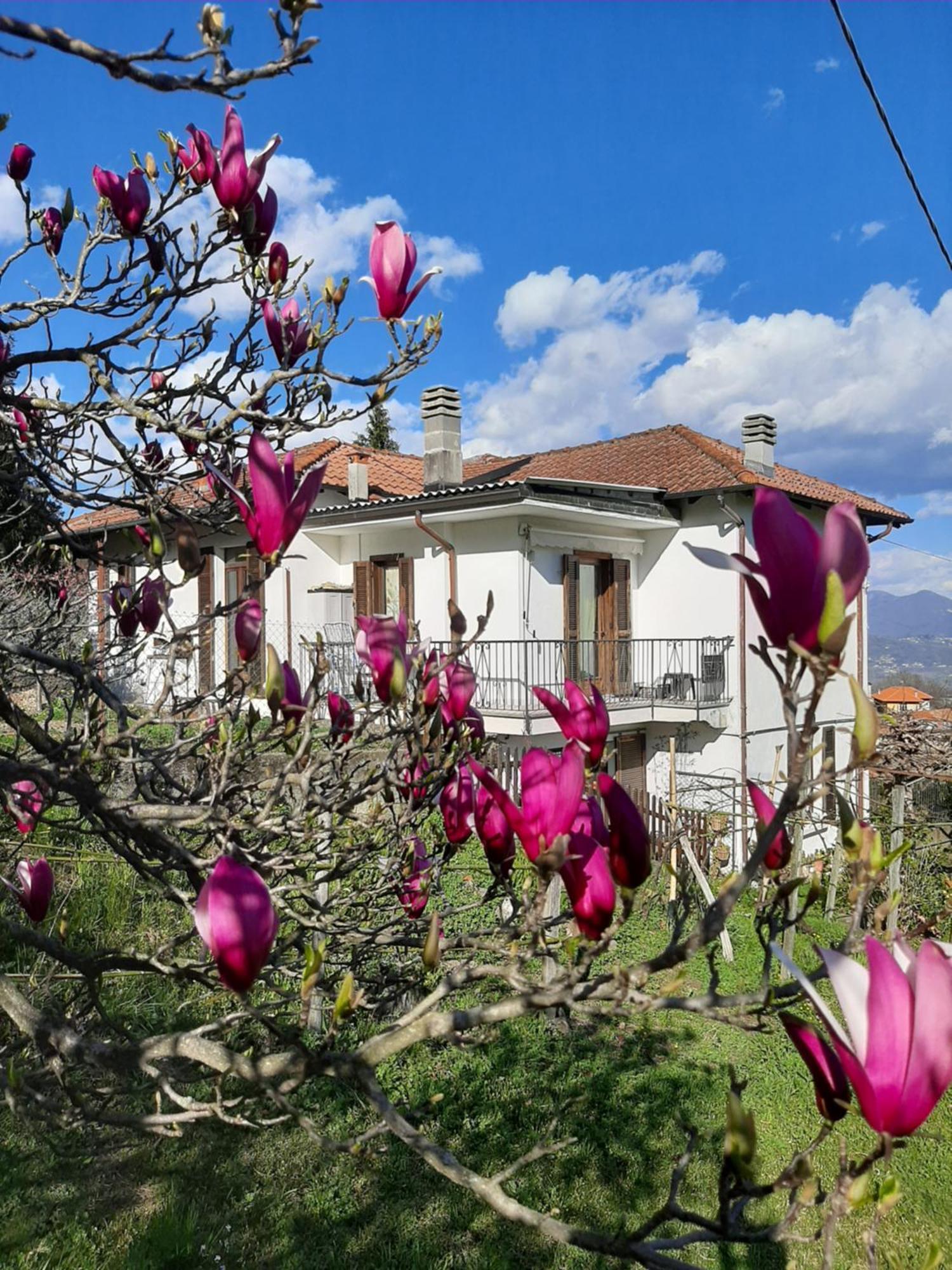 B&B Al Mutpron Casale Corte Cerro Extérieur photo
