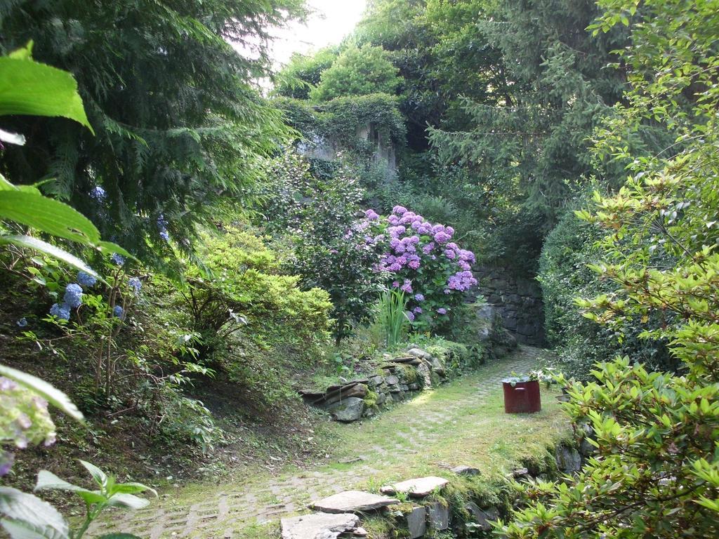 B&B Al Mutpron Casale Corte Cerro Extérieur photo